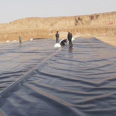 VEGAS Geomembrane Project Cases