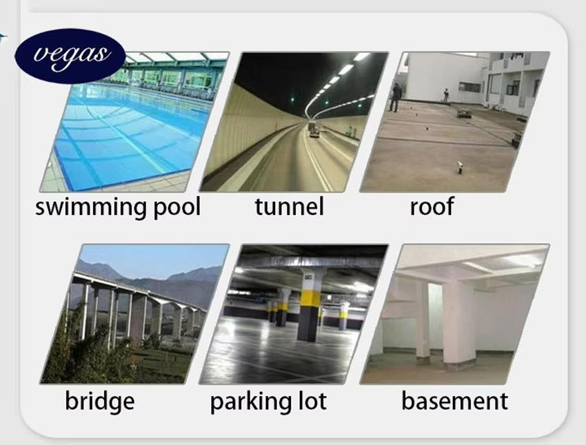 1756714989402464.jpg 维加斯8.jpg